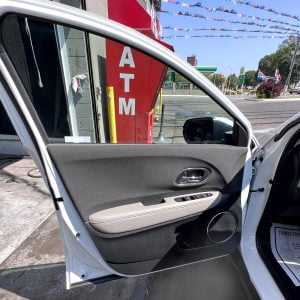 professional Honda detailing (car door)